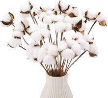 Load image into Gallery viewer, 20pcs Cotton Stems