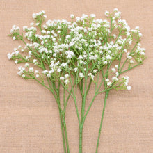 Load image into Gallery viewer, 12 Pcs Artificial Baby Breath Flowers Fake Gypsophila Bouquets