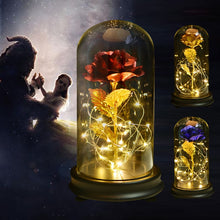 Load image into Gallery viewer, Beauty and The Beast Gold Foil Galaxy Rose Flower LED Light In Glass Dome Christmas Valentine Gift for Girls