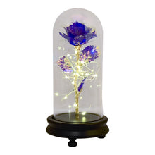 Load image into Gallery viewer, Beauty and The Beast Gold Foil Galaxy Rose Flower LED Light In Glass Dome Christmas Valentine Gift for Girls