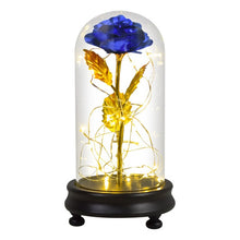 Load image into Gallery viewer, Beauty and The Beast Gold Foil Galaxy Rose Flower LED Light In Glass Dome Christmas Valentine Gift for Girls