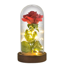 Load image into Gallery viewer, Beauty and The Beast Gold Foil Galaxy Rose Flower LED Light In Glass Dome Christmas Valentine Gift for Girls