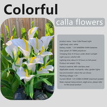Load image into Gallery viewer, 4PCS LED Solar Light Outdoor Waterproof Calla Lily Flower