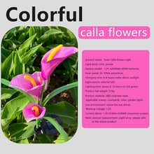 Load image into Gallery viewer, 4PCS LED Solar Light Outdoor Waterproof Calla Lily Flower