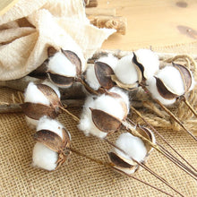 Load image into Gallery viewer, 20pcs Cotton Stems