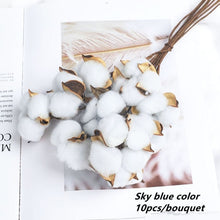 Load image into Gallery viewer, 20pcs Cotton Stems